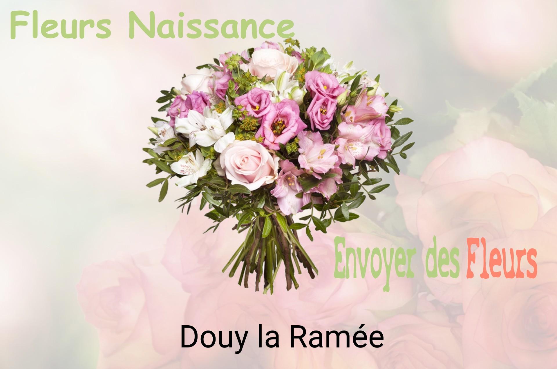 Bouquet de fleurs de naissance livré à Douy-la-Ramée